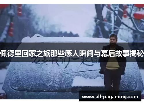 佩德里回家之旅那些感人瞬间与幕后故事揭秘