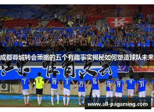 成都蓉城转会策略的五个有趣事实揭秘如何塑造球队未来