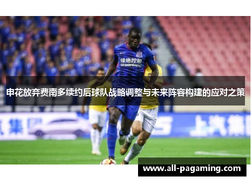 申花放弃费南多续约后球队战略调整与未来阵容构建的应对之策