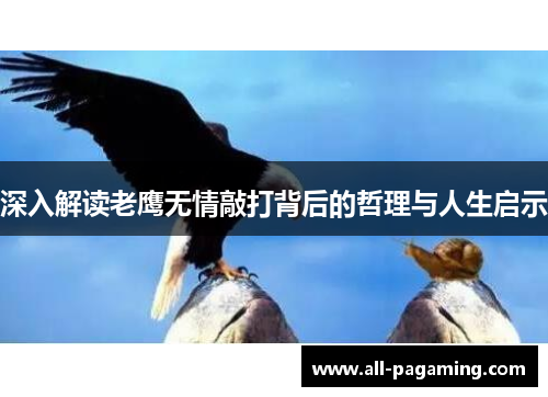 深入解读老鹰无情敲打背后的哲理与人生启示 深入解读老鹰无情敲打背后的哲理与人生启示