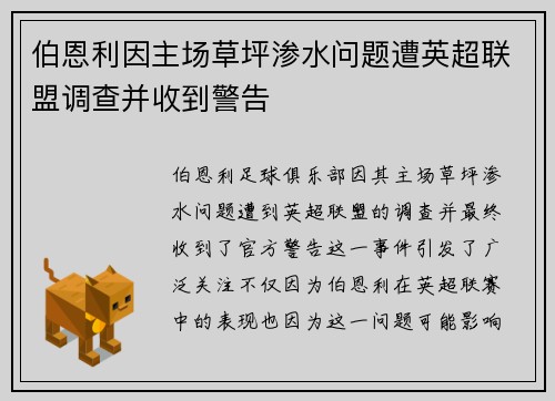 伯恩利因主场草坪渗水问题遭英超联盟调查并收到警告